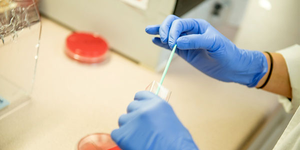 Photo of medical testing